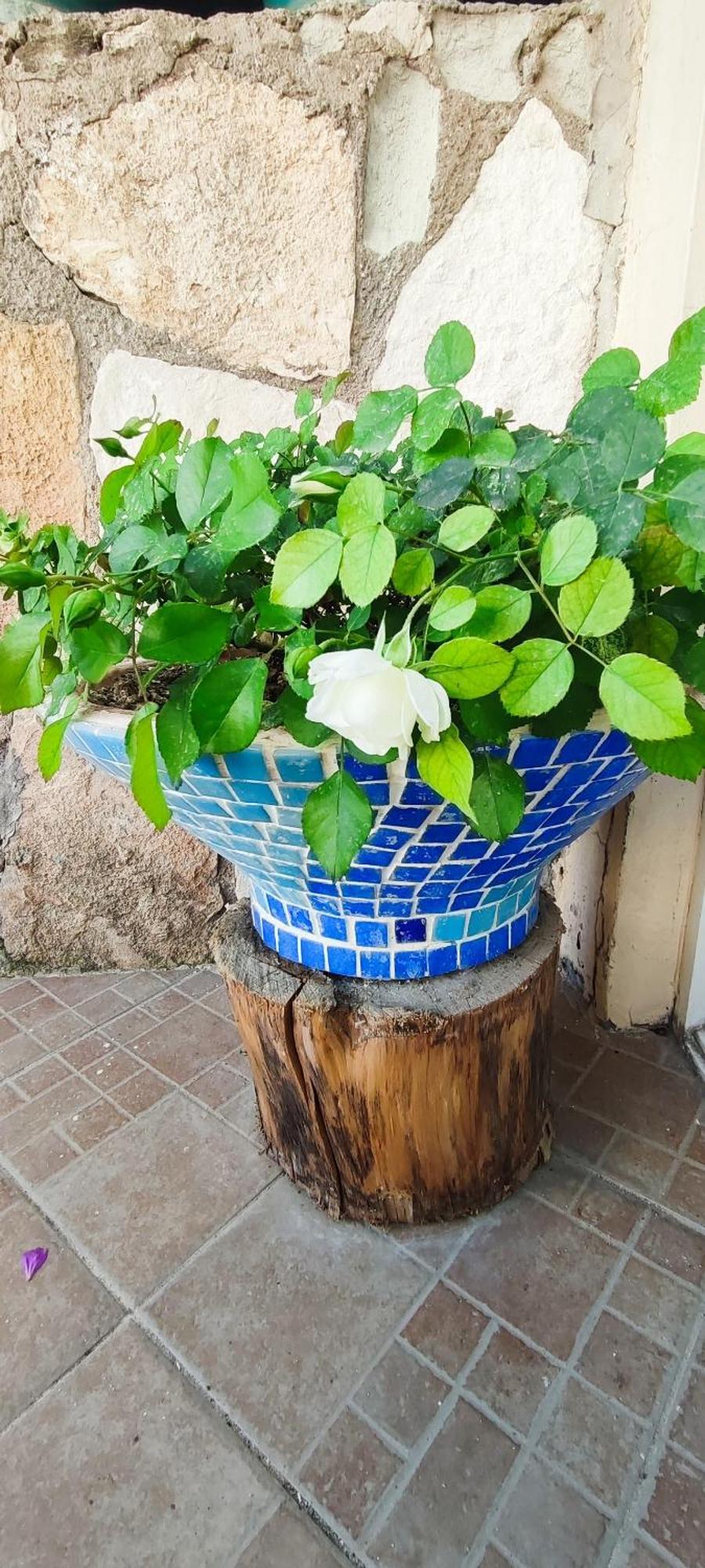 Bonapart Hotel Cesme Bagian luar foto